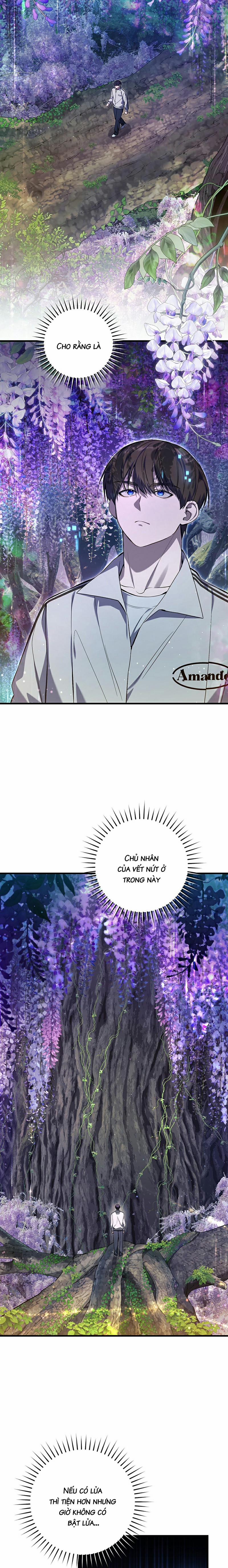 Cậu Thợ Săn Chỉ Muốn Sống Yên Bình 19 trang 10