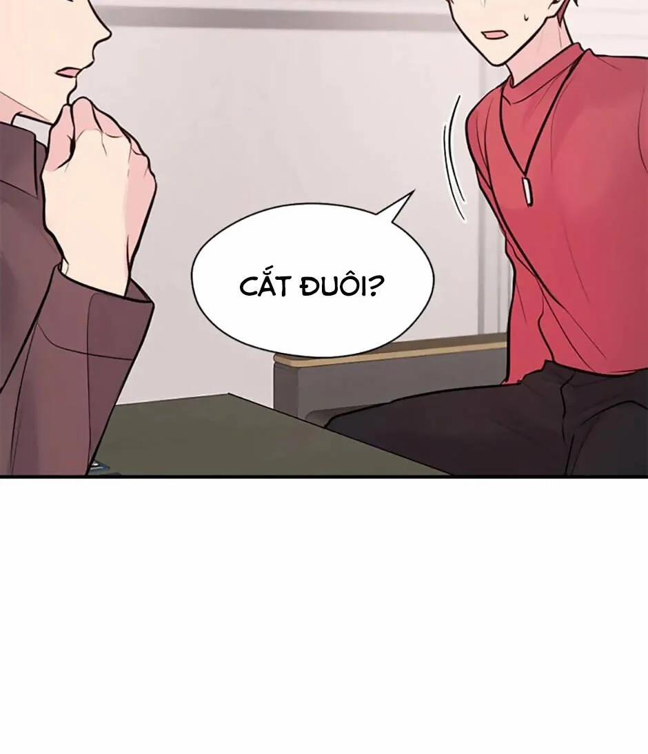 Câu Trả Lời Mùa Đông 51 trang 54