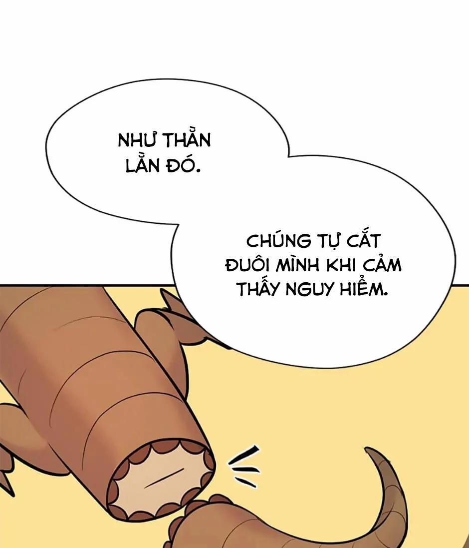 Câu Trả Lời Mùa Đông 51 trang 55