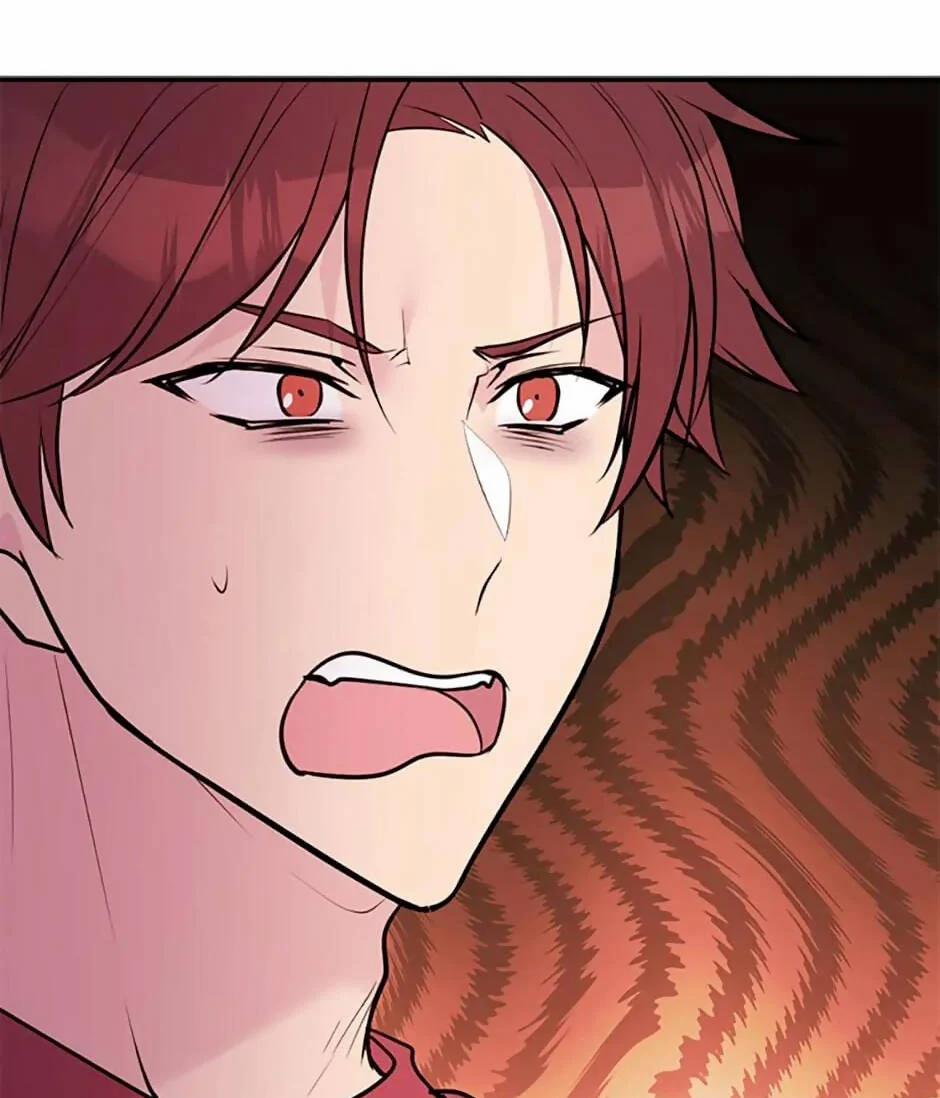 Câu Trả Lời Mùa Đông 51 trang 66