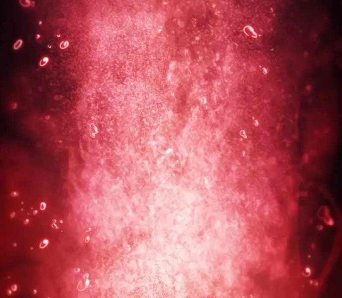 Cậu Út Nhà Công Tước Là Sát Thủ Hồi Quy 50 trang 190