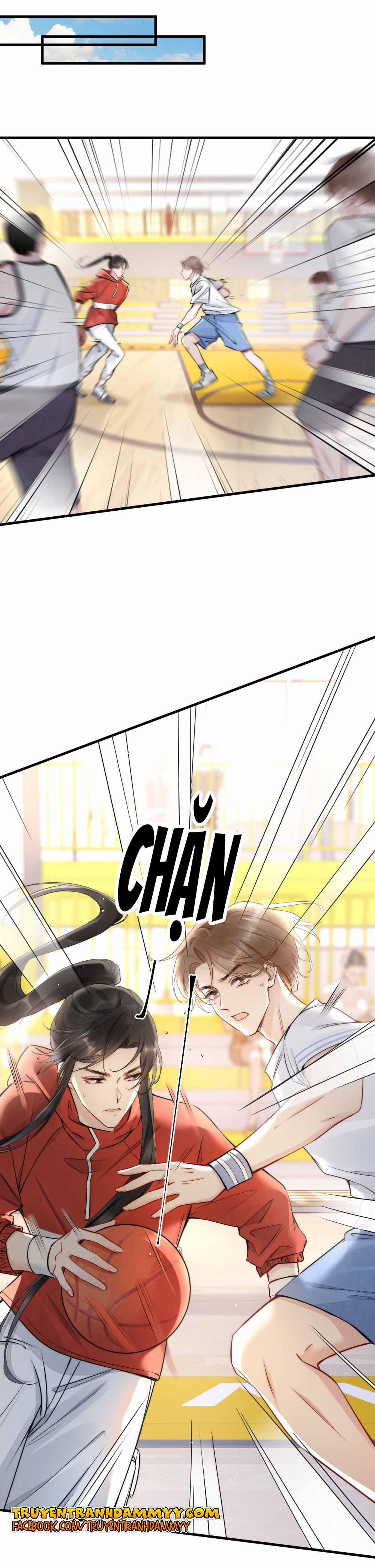 Cầu Vòng Hổ Phách 10 trang 1