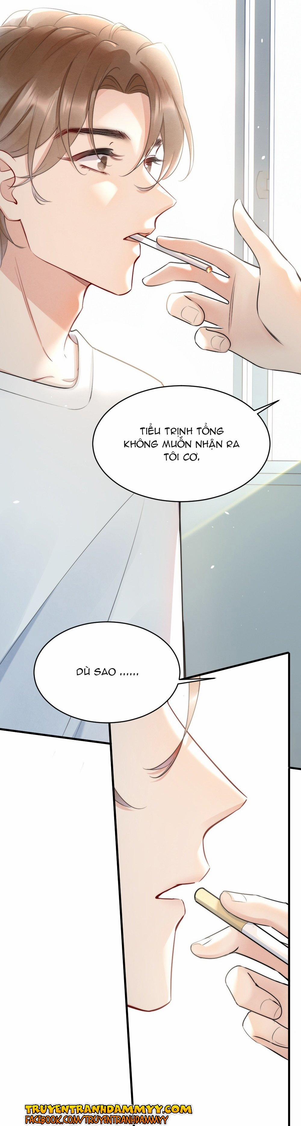 Cầu Vòng Hổ Phách 11 trang 13