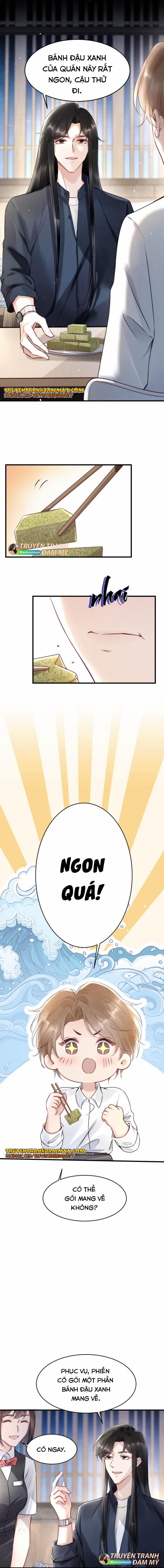 Cầu Vòng Hổ Phách 12 trang 2