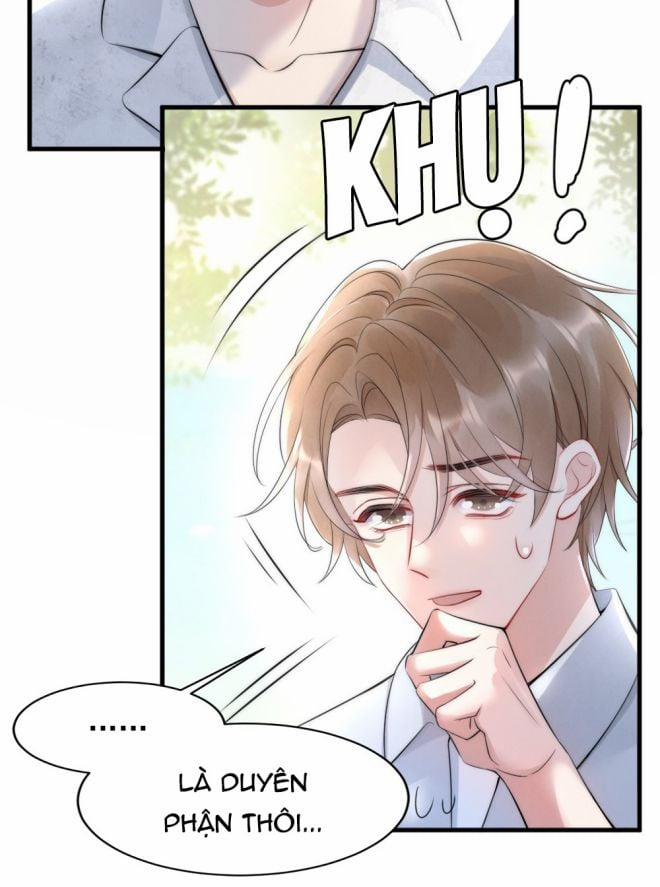 Cầu Vòng Hổ Phách 15 trang 17