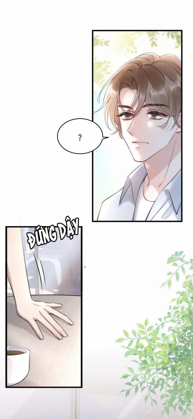 Cầu Vòng Hổ Phách 15 trang 19