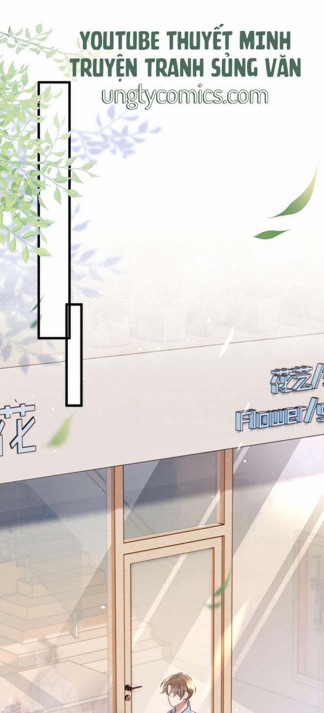 Cầu Vòng Hổ Phách 15 trang 2