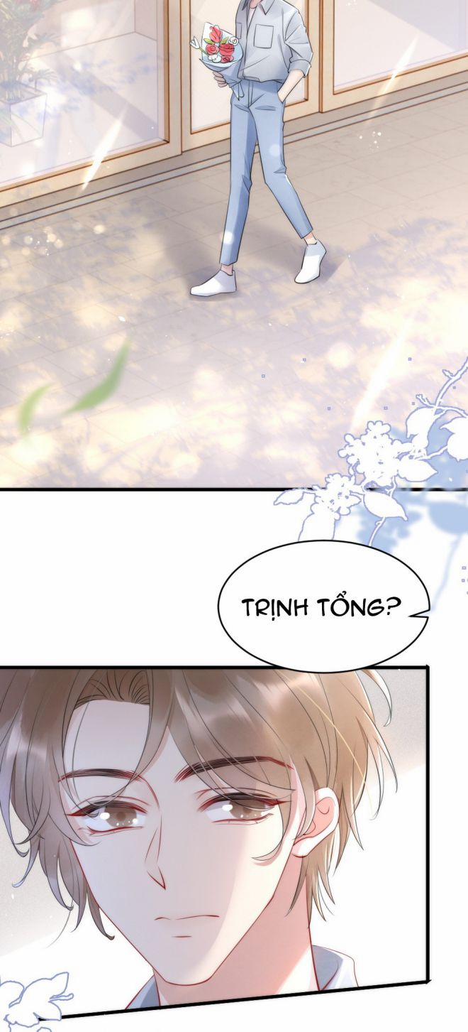 Cầu Vòng Hổ Phách 15 trang 3