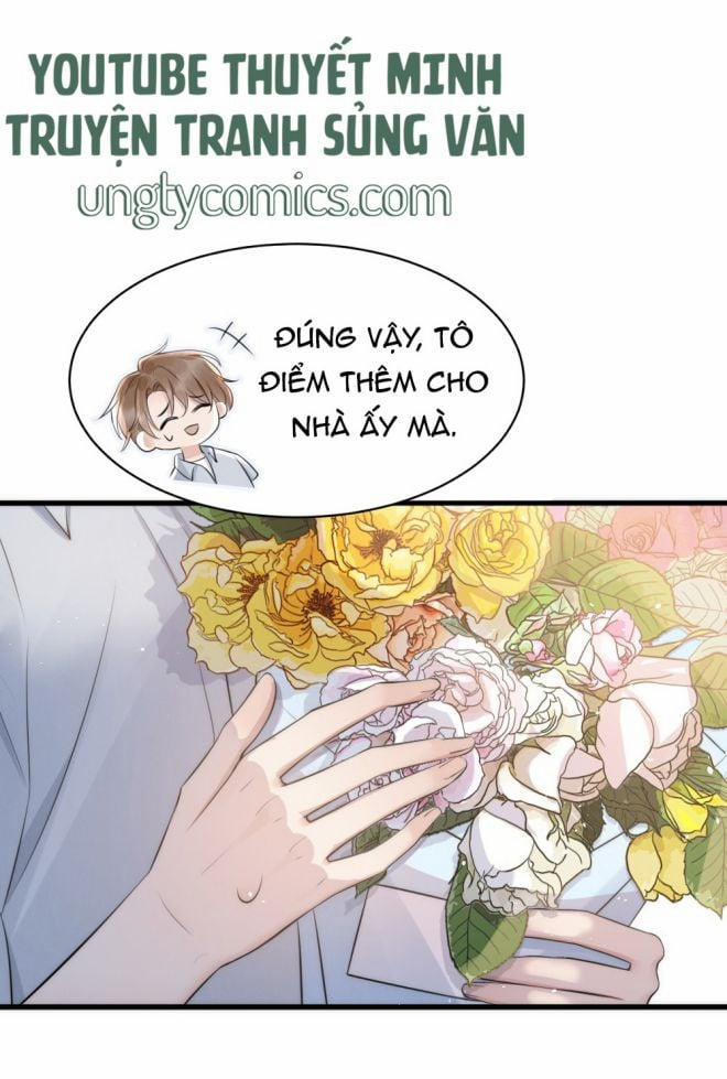 Cầu Vòng Hổ Phách 15 trang 6