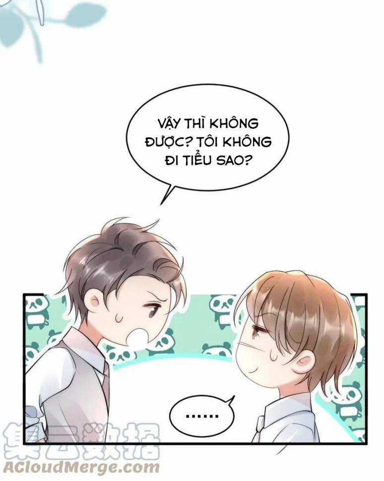 Cầu Vòng Hổ Phách 20 trang 24