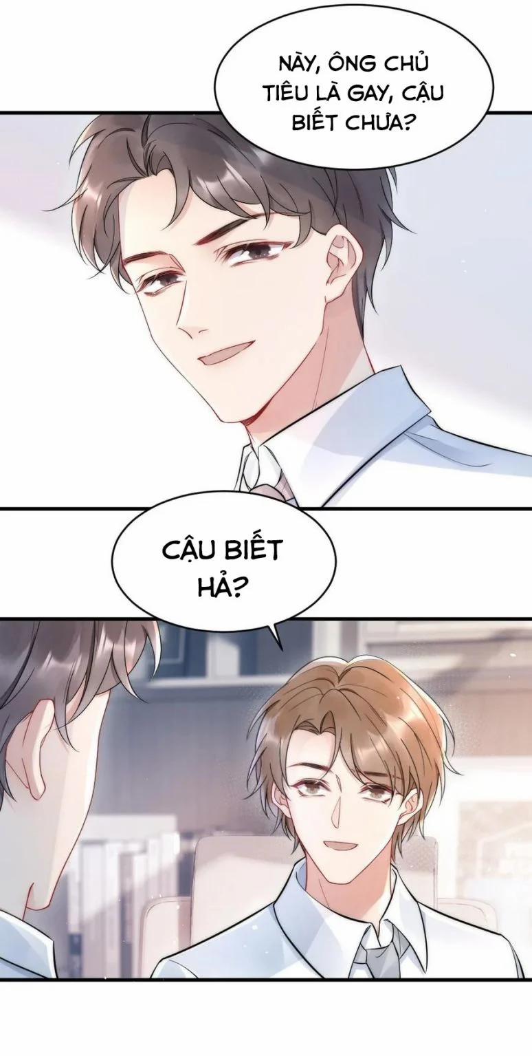 Cầu Vòng Hổ Phách 20 trang 28