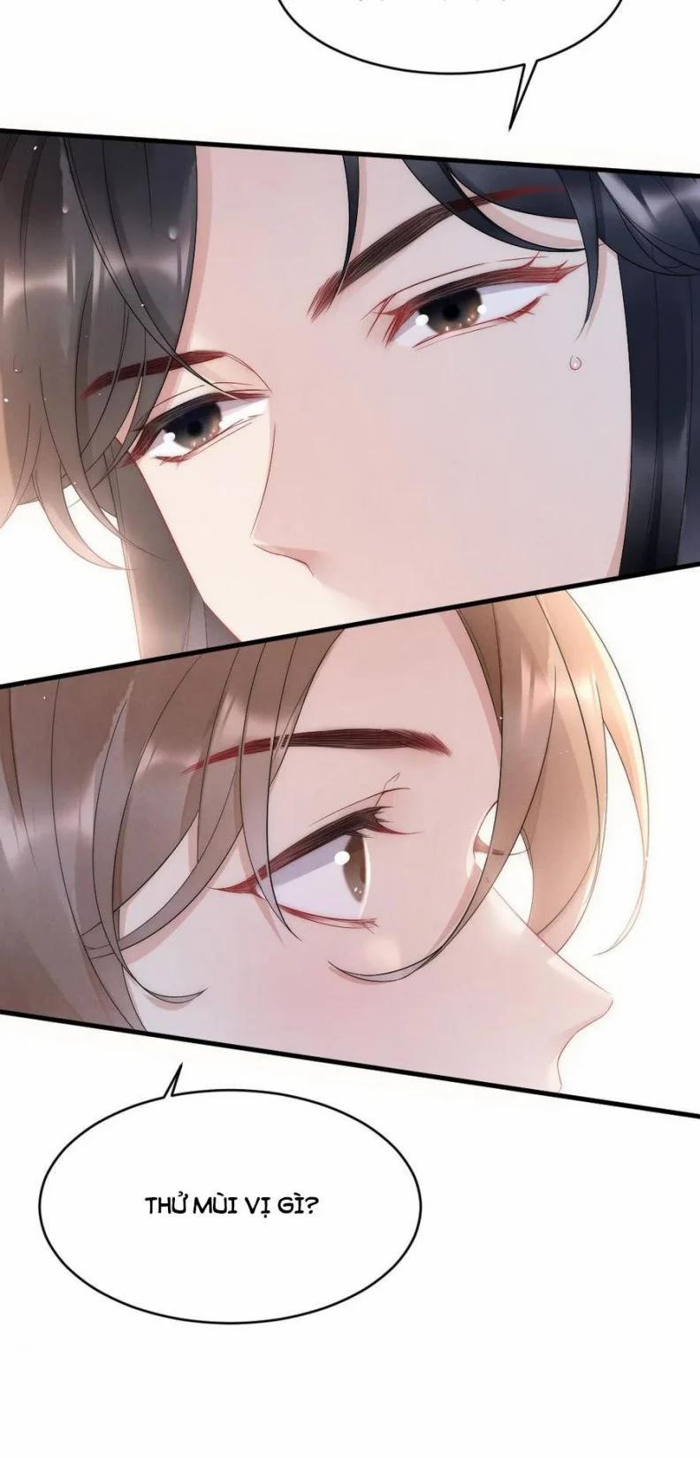 Cầu Vòng Hổ Phách 21 trang 39