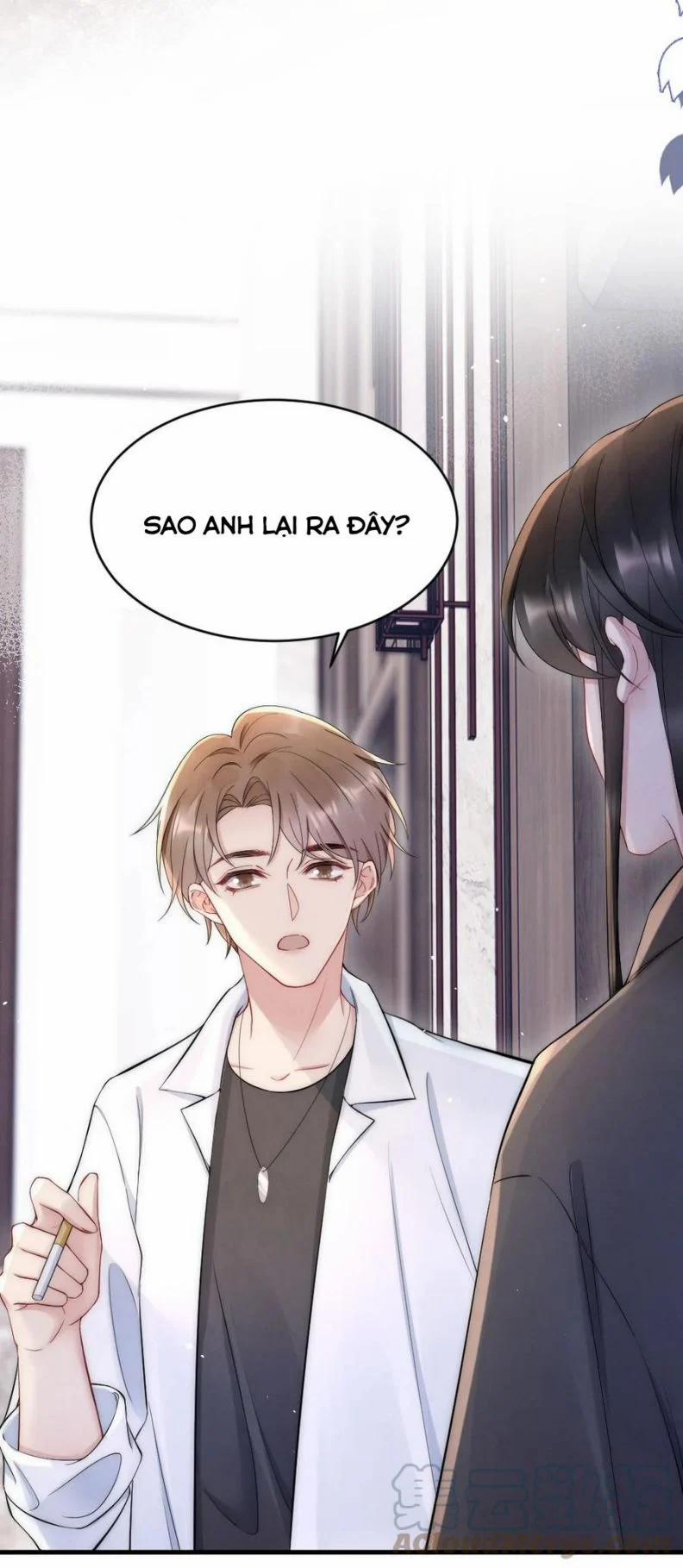 Cầu Vòng Hổ Phách 22 trang 24