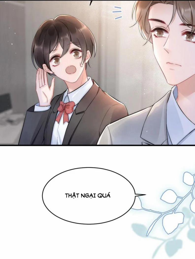 Cầu Vòng Hổ Phách 23 trang 29