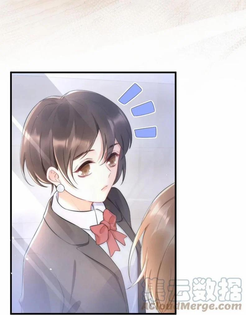 Cầu Vòng Hổ Phách 23 trang 8