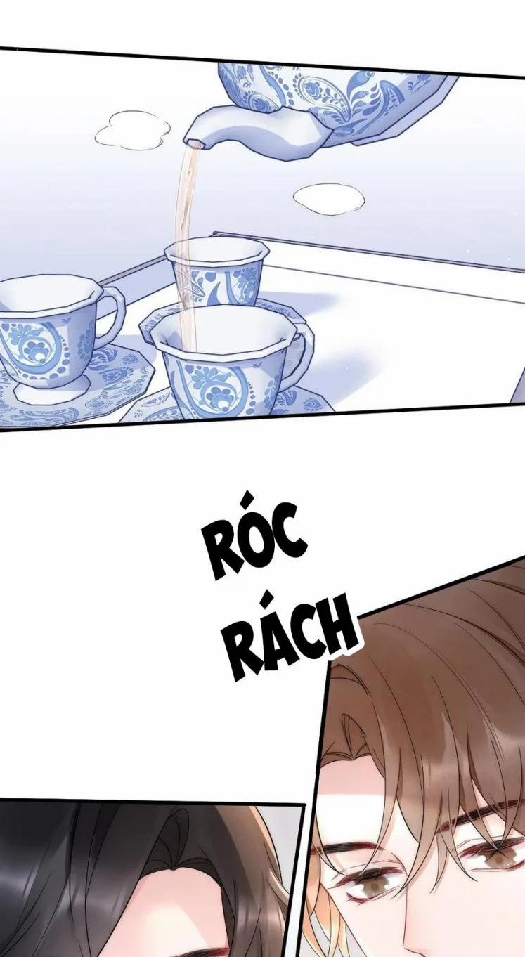 Cầu Vòng Hổ Phách 24 trang 27