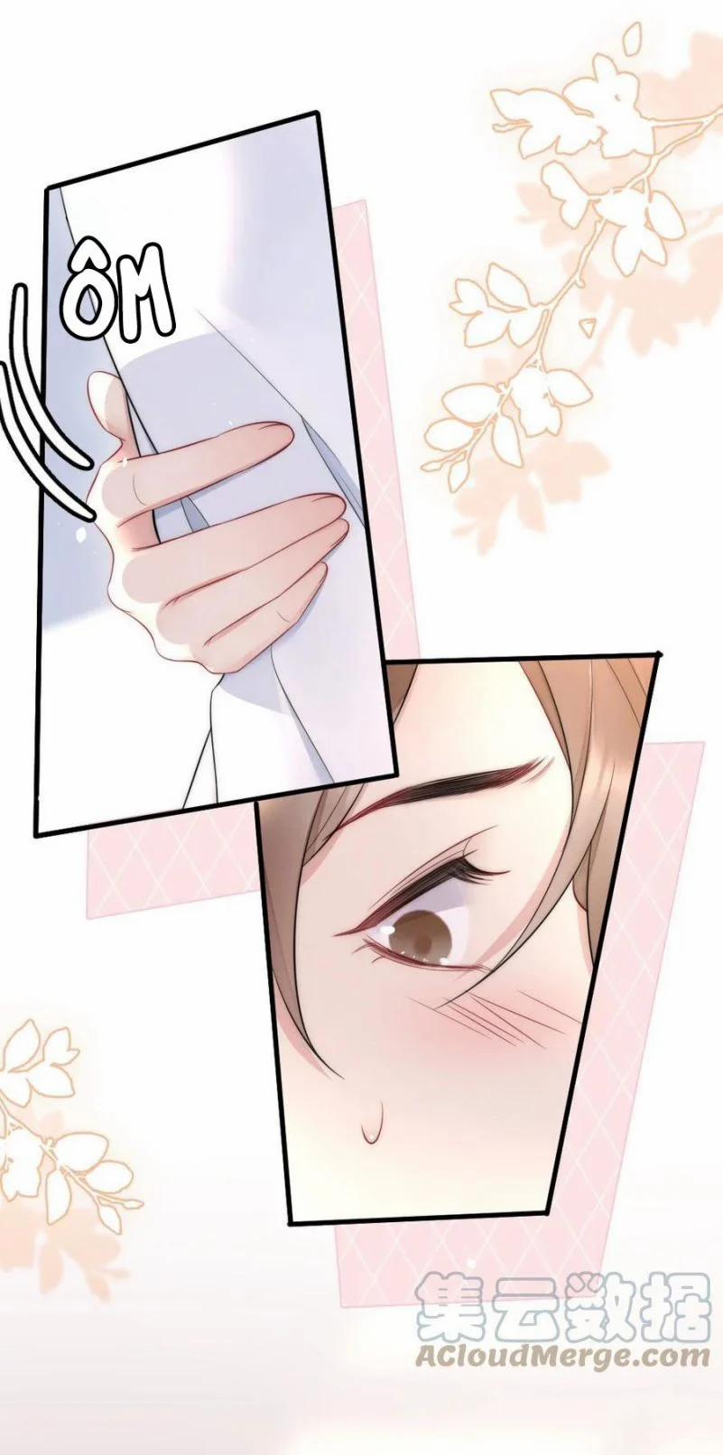 Cầu Vòng Hổ Phách 28 trang 13