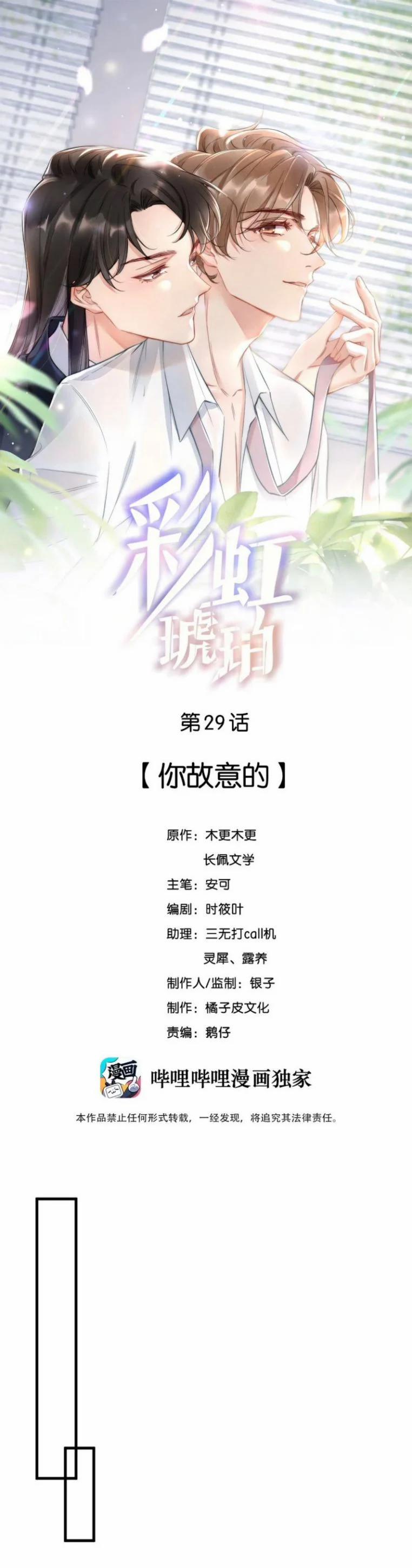 Cầu Vòng Hổ Phách 29 trang 0