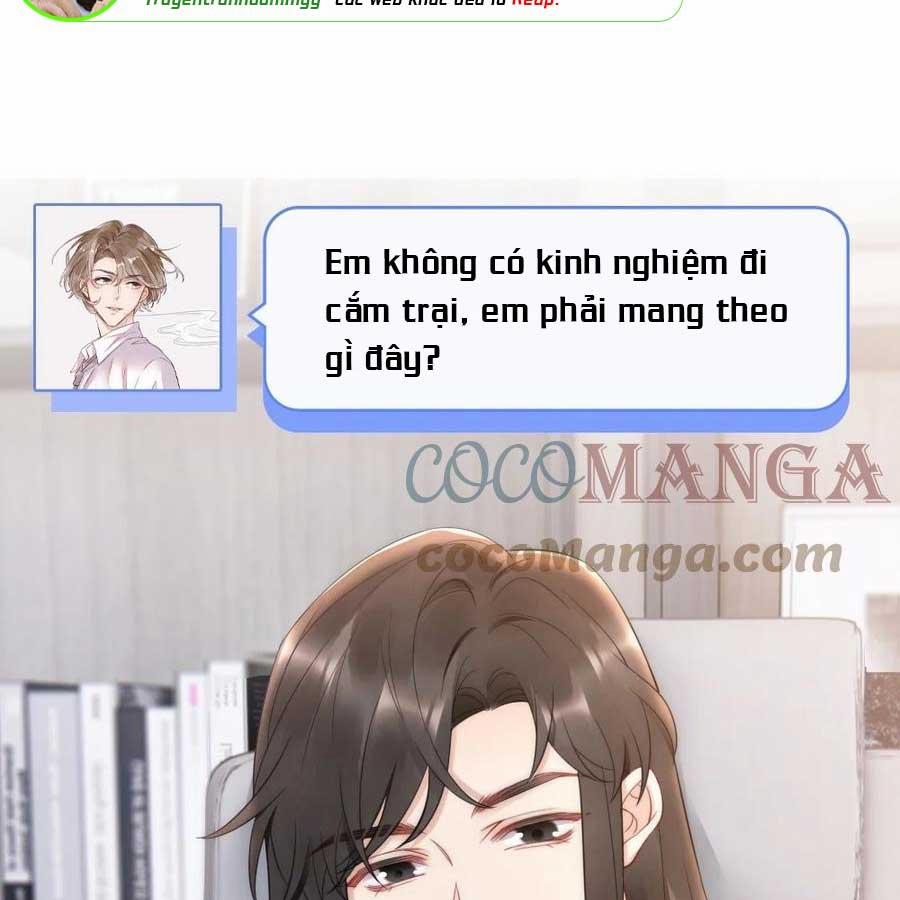 Cầu Vòng Hổ Phách 31 trang 62