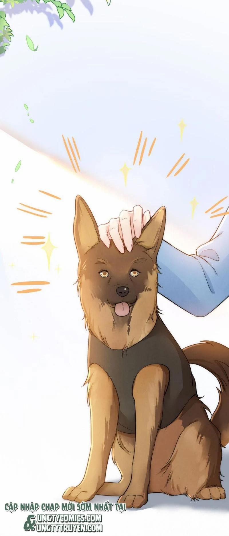 Cầu Vòng Hổ Phách 32 trang 19