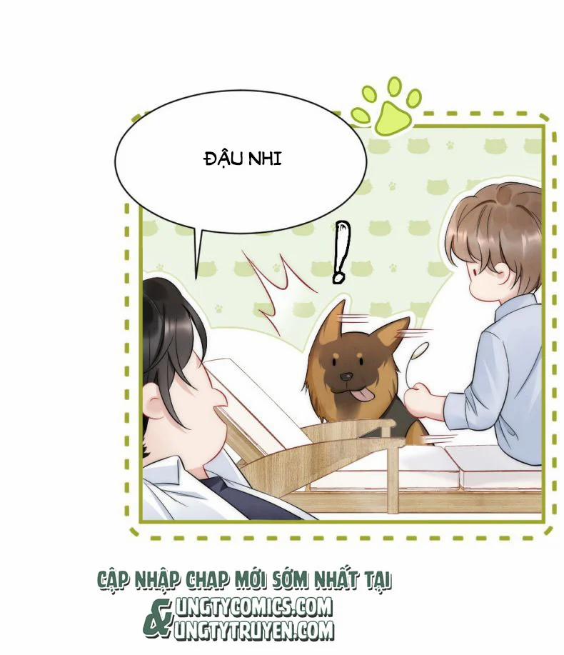 Cầu Vòng Hổ Phách 33 trang 16