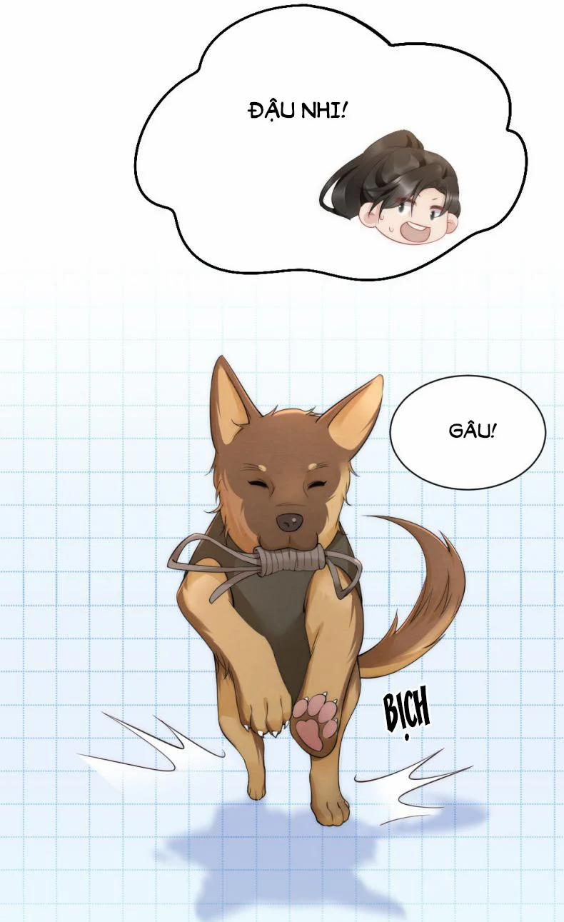 Cầu Vòng Hổ Phách 33 trang 4