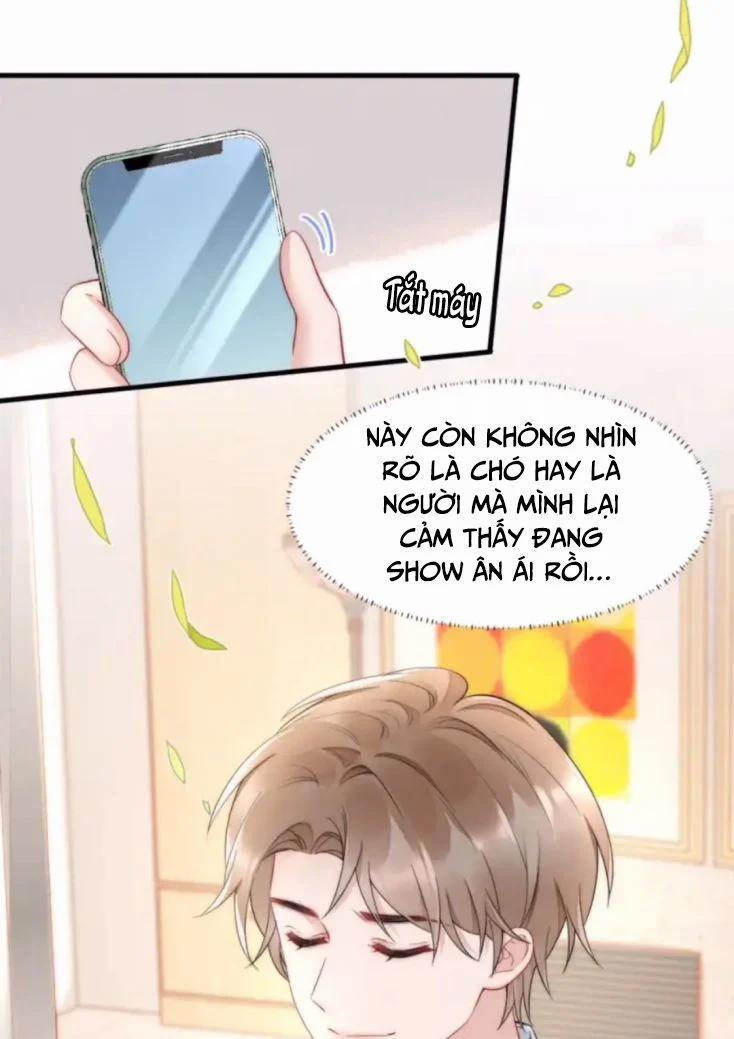 Cầu Vòng Hổ Phách 35 trang 15