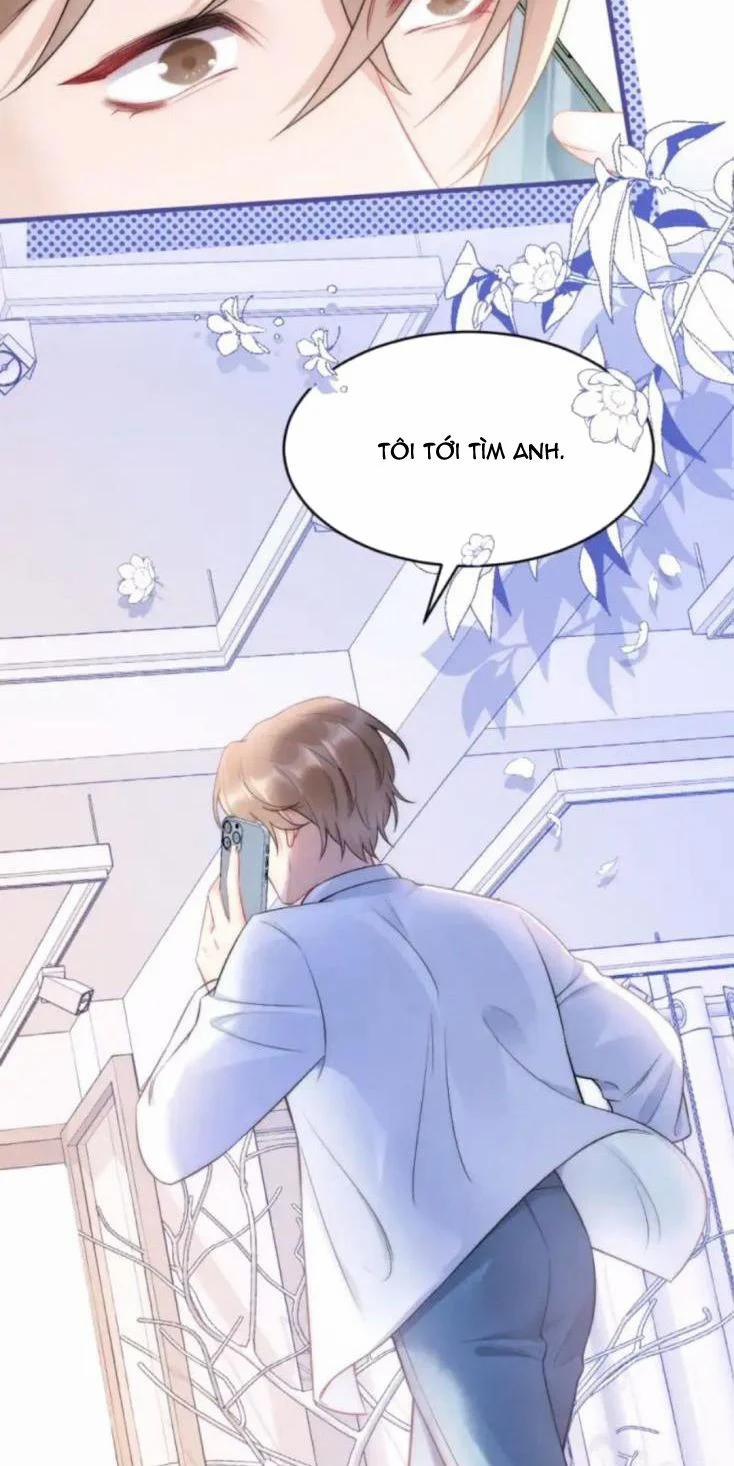 Cầu Vòng Hổ Phách 35 trang 44