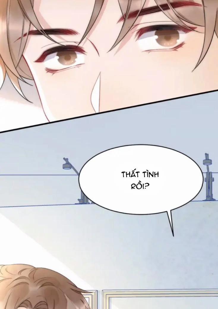 Cầu Vòng Hổ Phách 35 trang 5