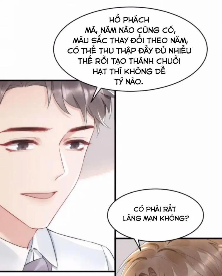 Cầu Vòng Hổ Phách 36 trang 27