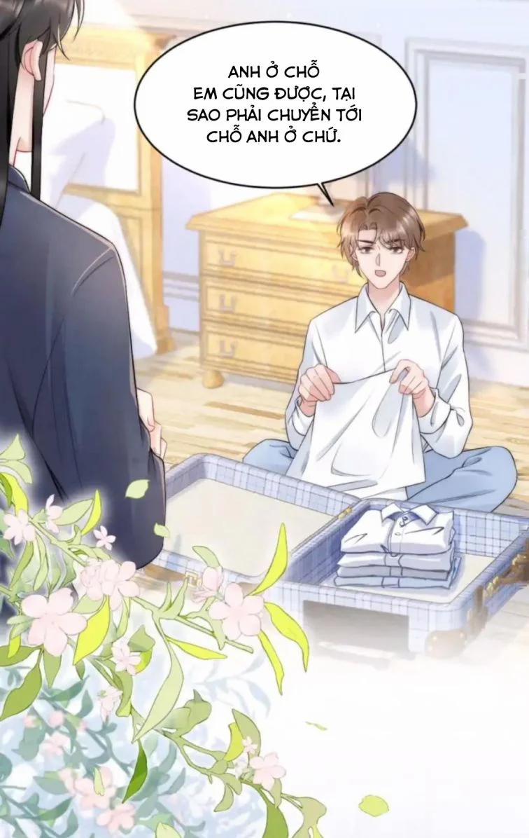 Cầu Vòng Hổ Phách 36 trang 3