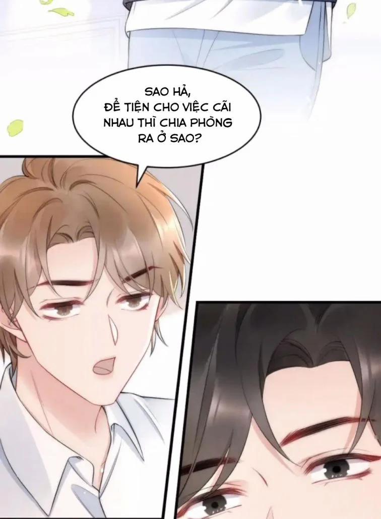 Cầu Vòng Hổ Phách 36 trang 5