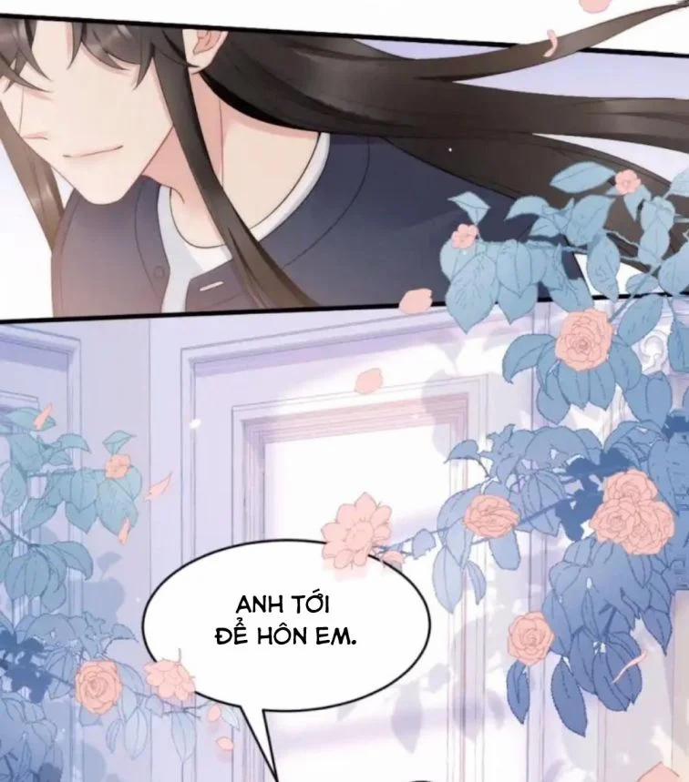 Cầu Vòng Hổ Phách 36 trang 9