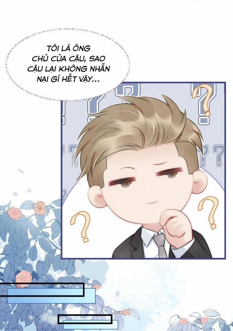 Cầu Vòng Hổ Phách 39 trang 13