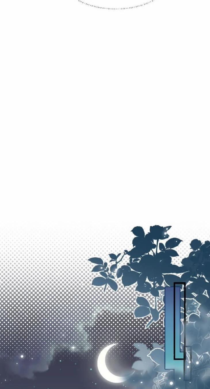 Cầu Vòng Hổ Phách 42 trang 25