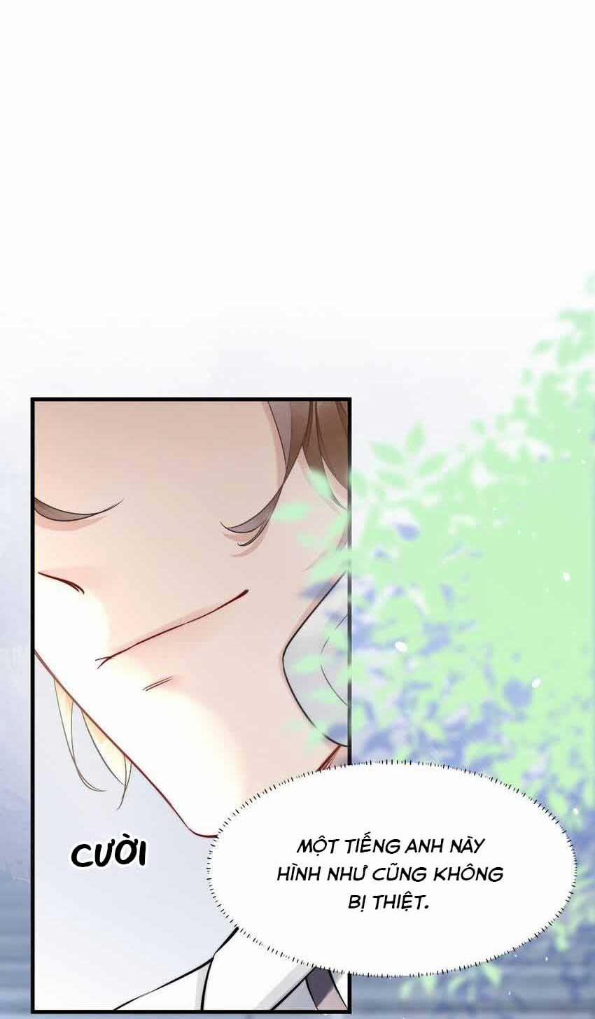 Cầu Vòng Hổ Phách 7 trang 17