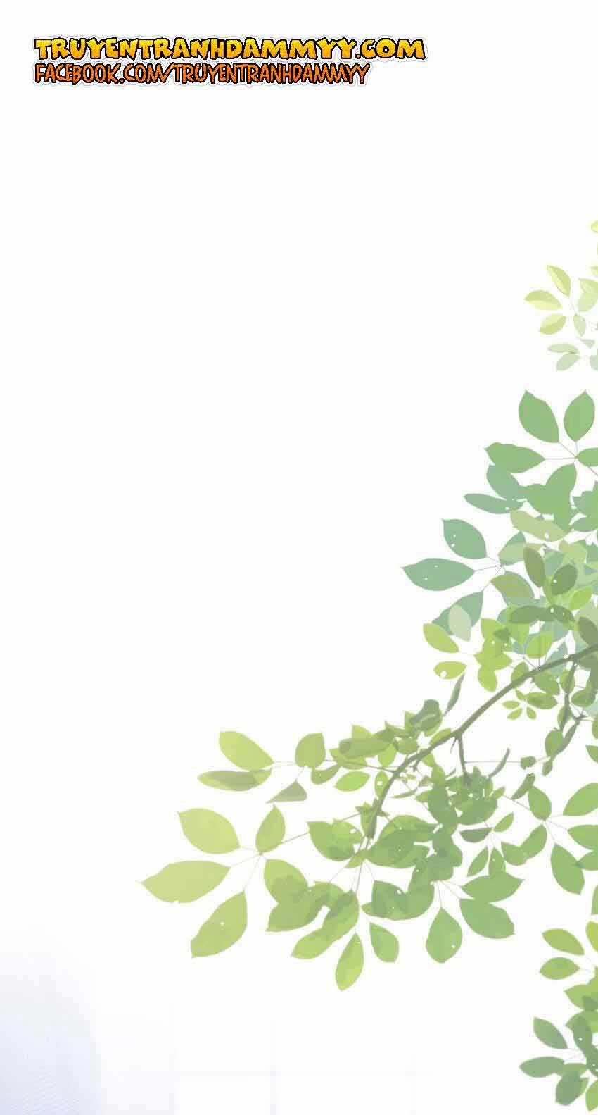 Cầu Vòng Hổ Phách 7 trang 2