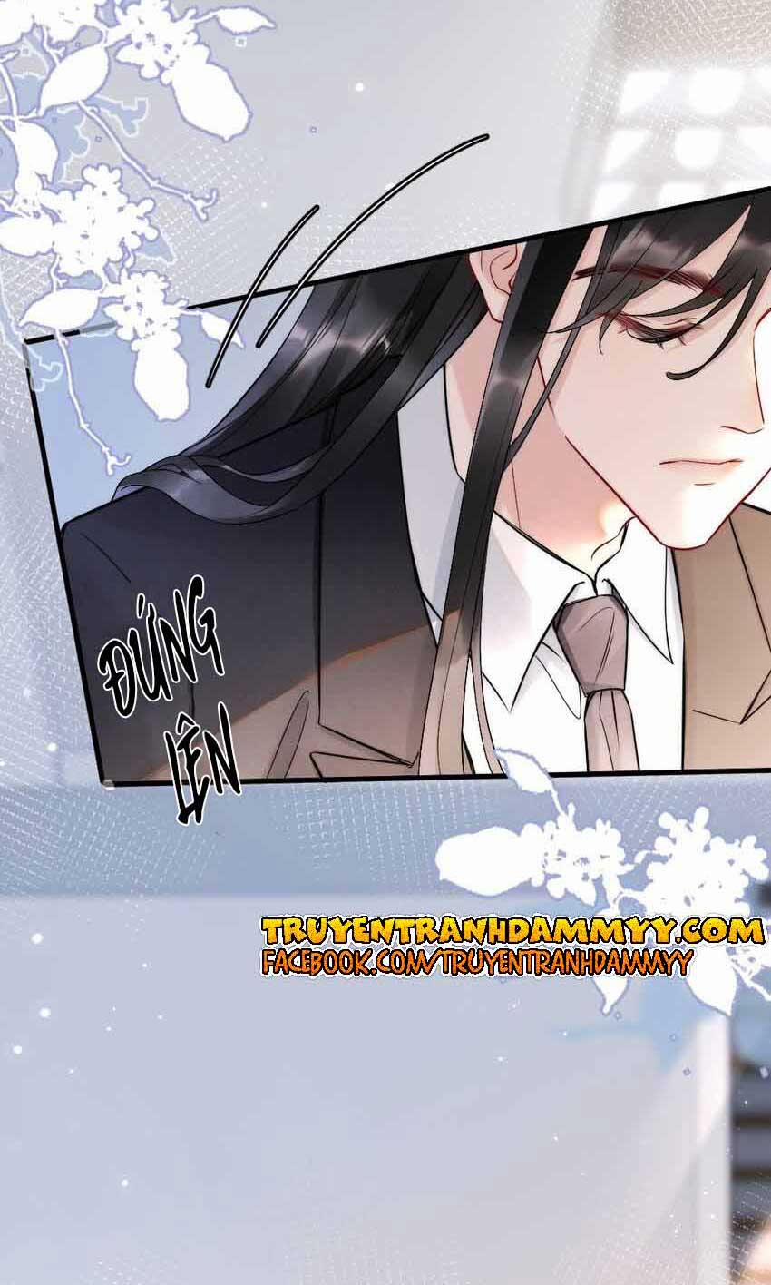 Cầu Vòng Hổ Phách 7 trang 42