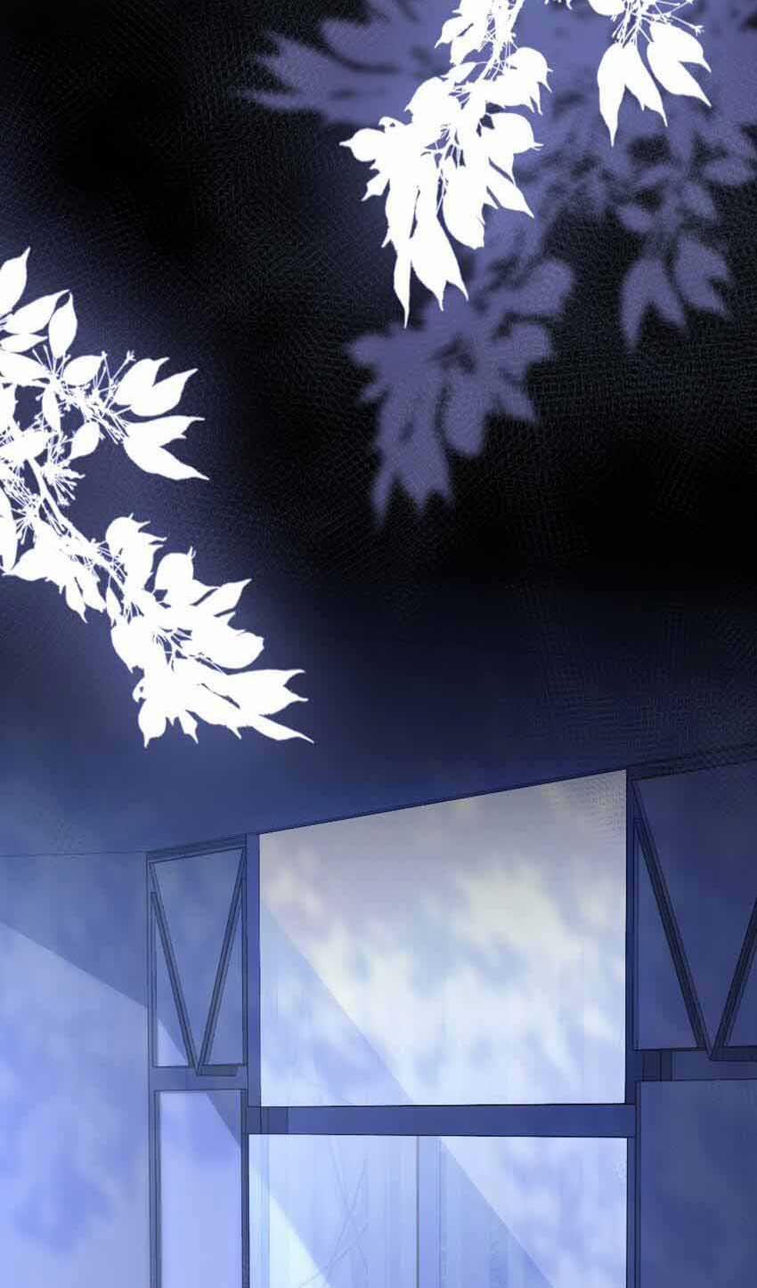 Cầu Vòng Hổ Phách 8 trang 35