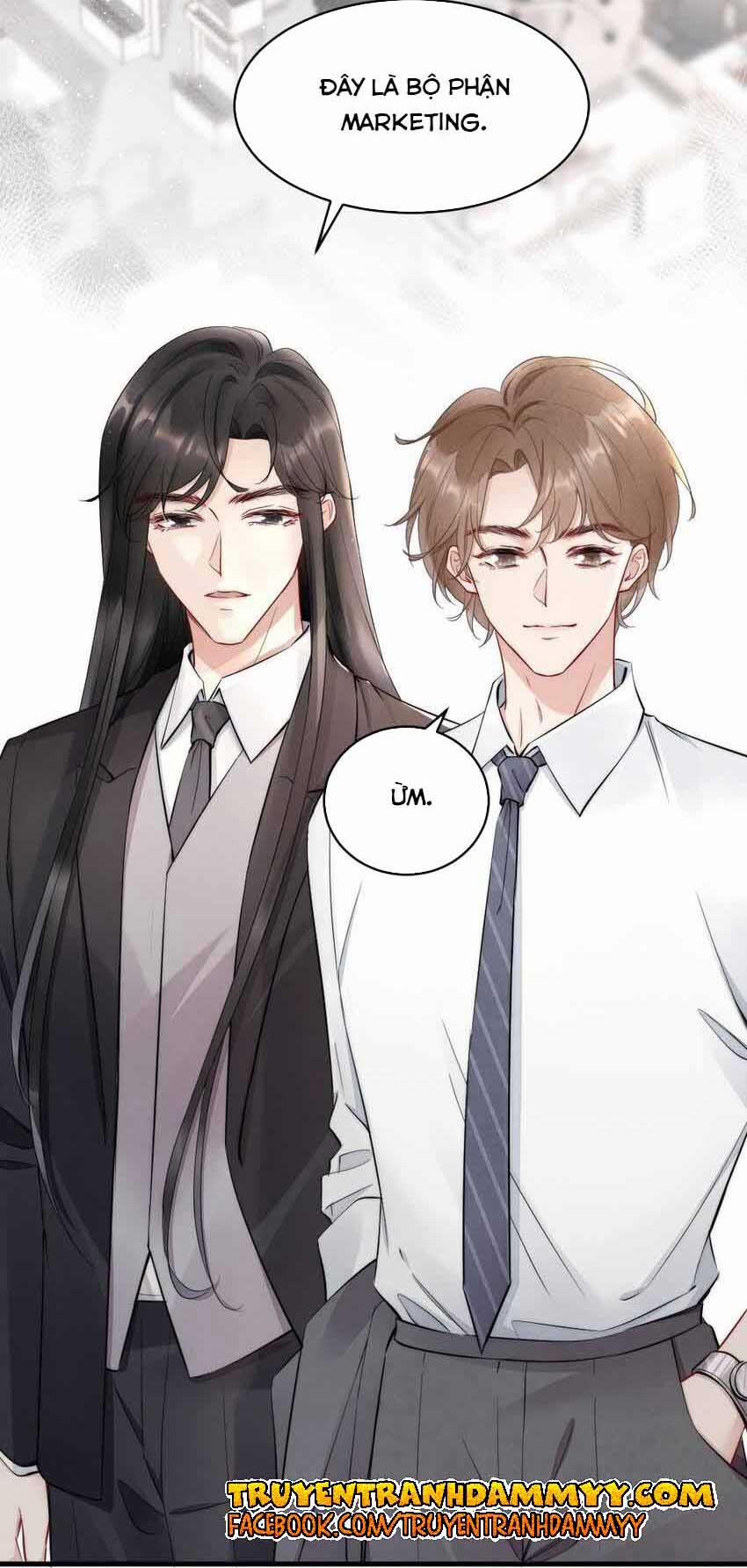 Cầu Vòng Hổ Phách 8 trang 4