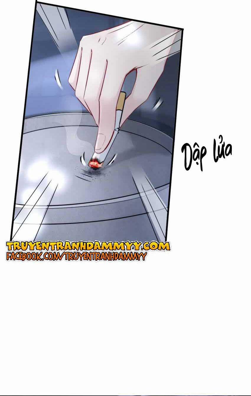 Cầu Vòng Hổ Phách 8 trang 43