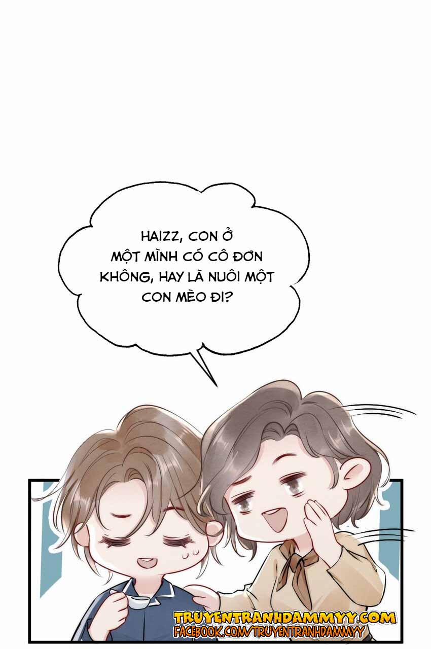 Cầu Vòng Hổ Phách 9 trang 26