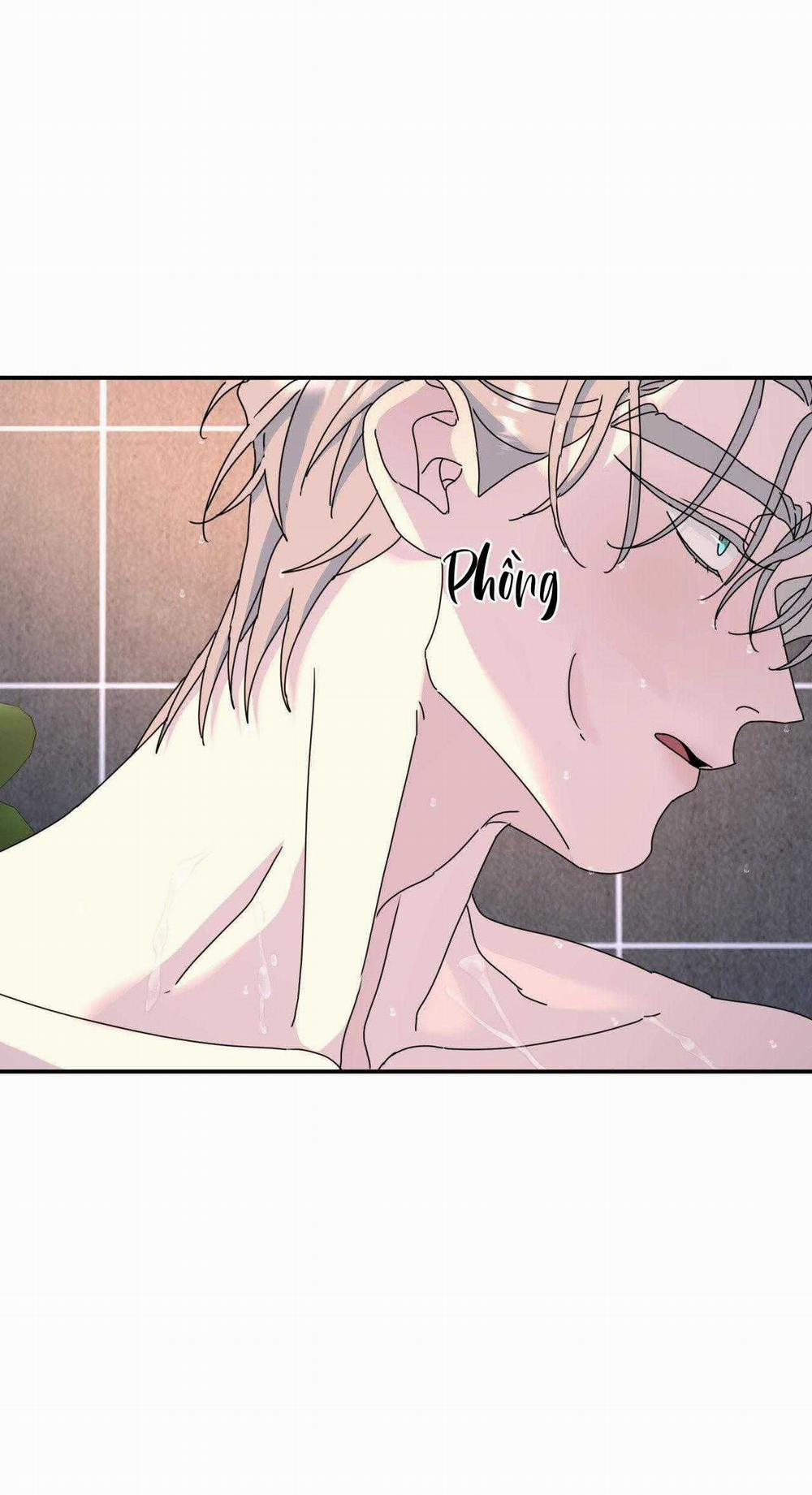 Cây Không Có Rễ 74 trang 16