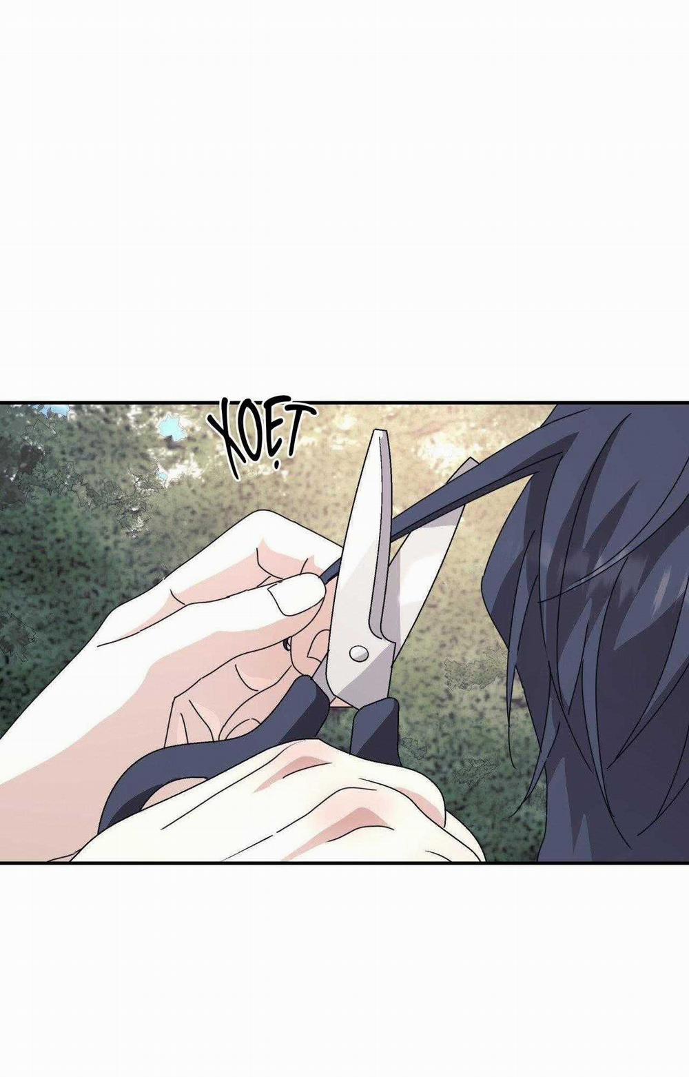 Cây Không Có Rễ 78 trang 50