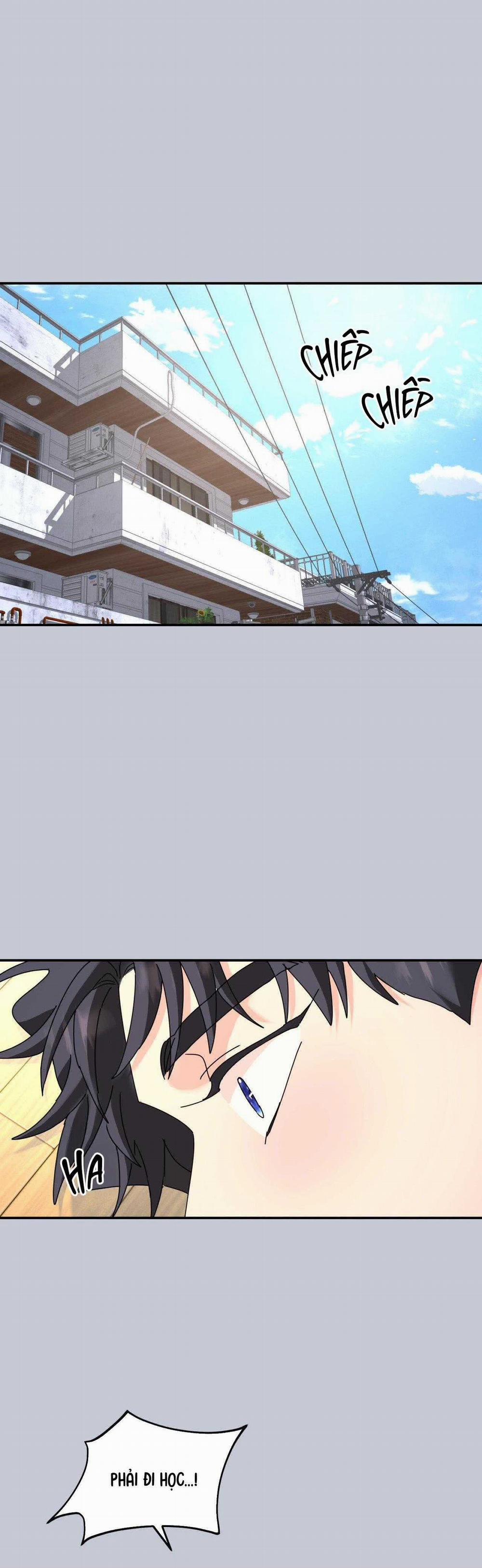 Cây Không Có Rễ 80 trang 19