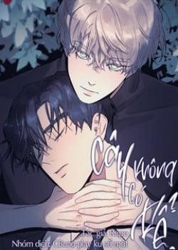 Đọc truyện Cây Không Có Rễ