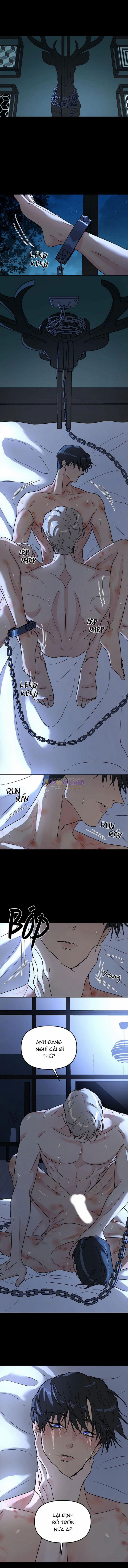 Cây Không Rễ Bl 1 trang 0