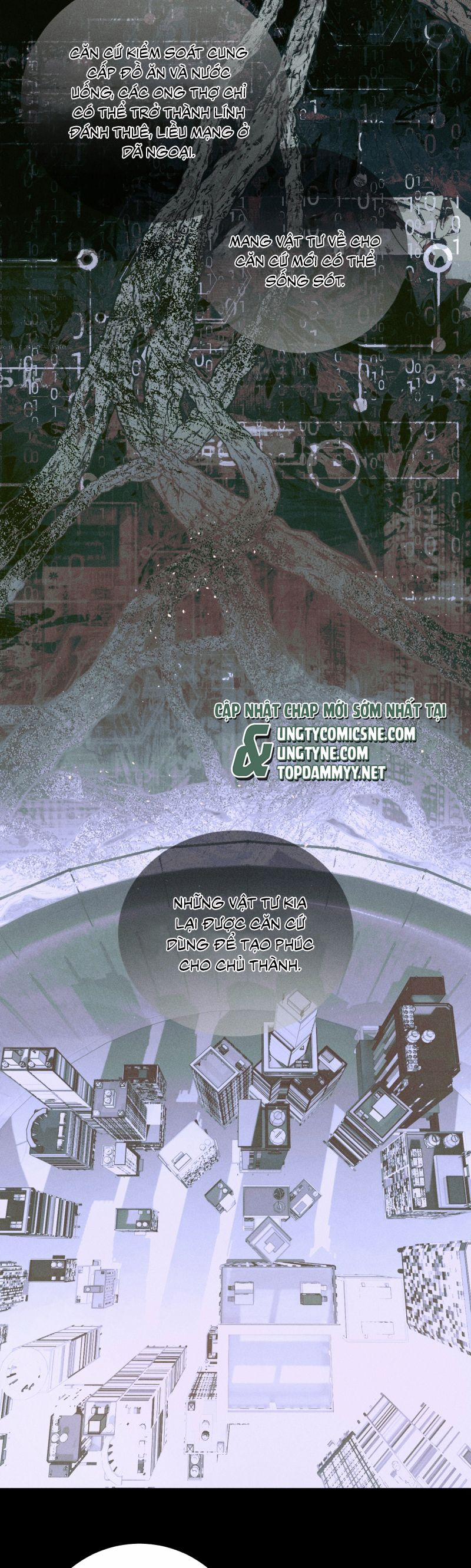 Cây Nấm Nhỏ 59 trang 13