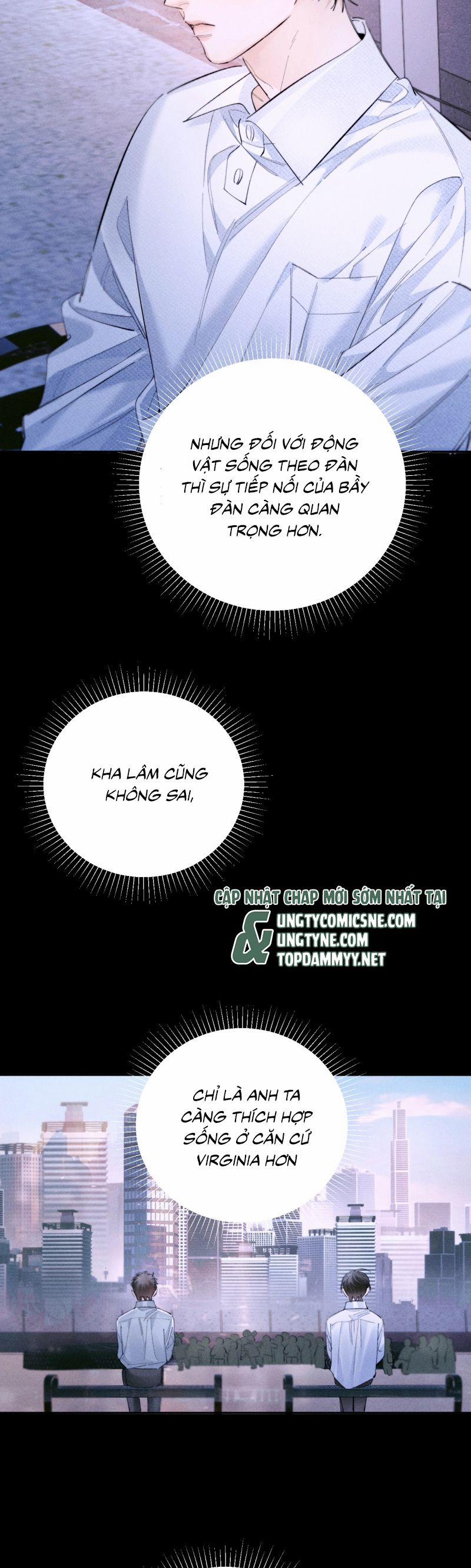 Cây Nấm Nhỏ 59 trang 19