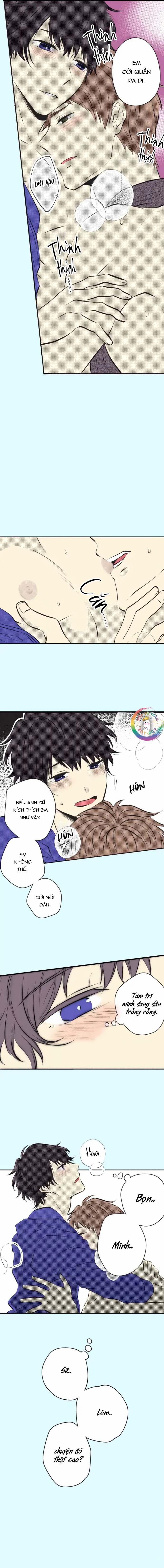 Cây Nhỏ Và Mùa Xuân Thân Yêu 35 Chụt Chụt trang 11